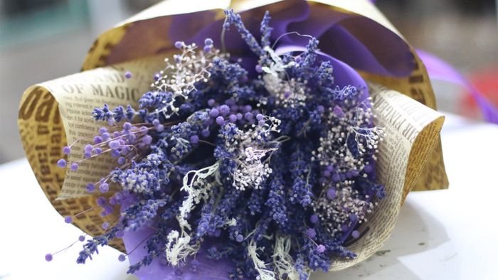 Ý nghĩa hoa 20/11 7