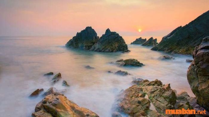 Bãi Đá Nhảy – Nơi hội tụ vẻ đẹp hoang sơ và kỳ vĩ của biển Quảng Bình