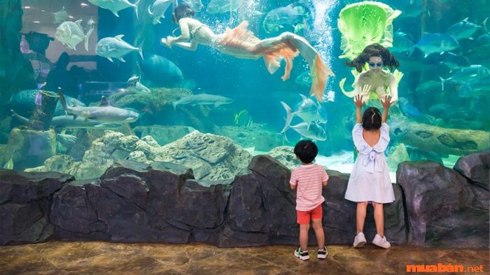 Những địa điểm tuyệt vời cho các bé vào ngày Quốc tế Thiếu nhi 1/6 tại Hà Nội