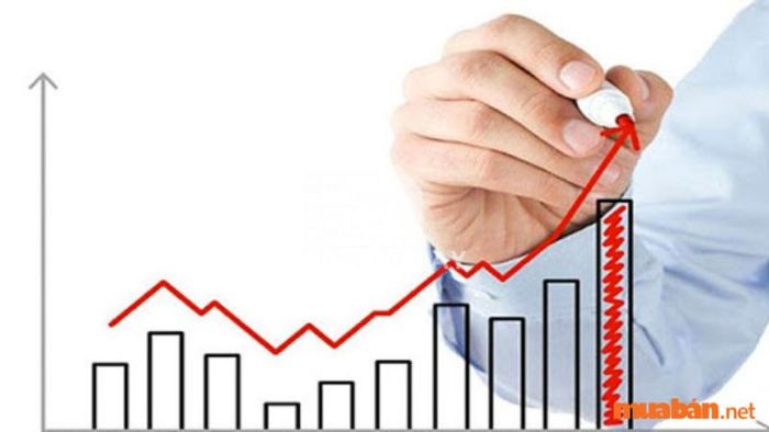 Đánh giá hiệu quả kinh doanh