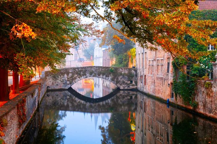 Autumn leaves above a canal