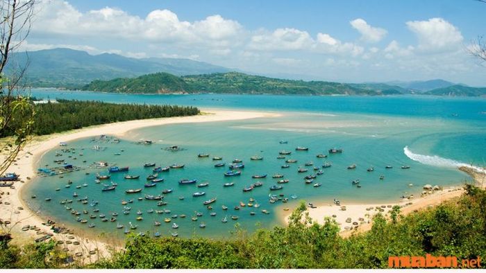 Vịnh Xuân Đài tựa như một bức tranh tuyệt đẹp, với sự kết hợp hoàn hảo của thiên nhiên hoang sơ và những giá trị lịch sử đặc biệt.