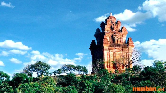 Tháp Nhạn, một di tích văn hóa đặc biệt của Phú Yên
