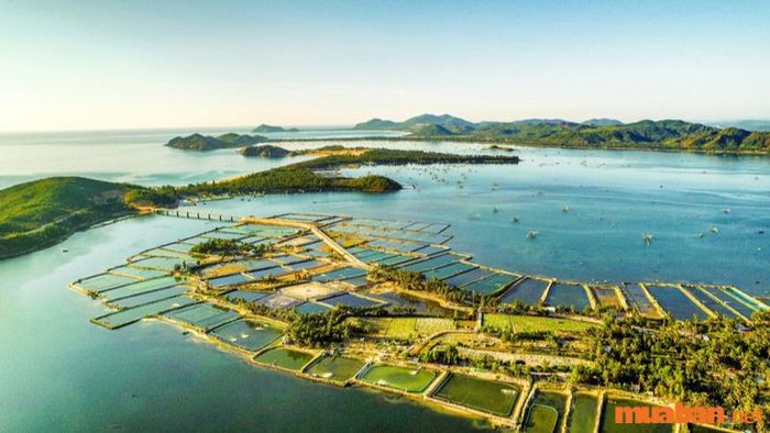 Đầm Ô Loan, mang dáng vẻ như một chú chim phượng hoàng vươn cánh, đẹp mê hồn