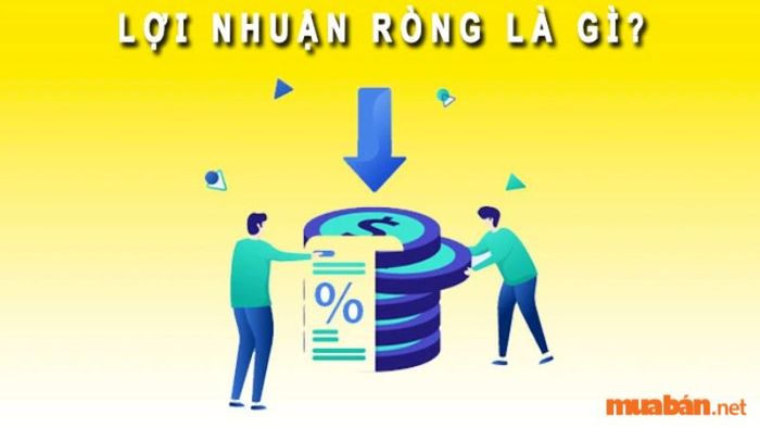Doanh thu ròng là gì? Cách thức tính toán doanh thu ròng đơn giản và dễ hiểu