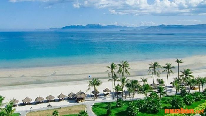 Biển Tuy Hòa, một trong những bãi biển tuyệt đẹp tại Phú Yên, nằm ngay gần thành phố. Với bãi cát mịn, nước biển trong xanh, sóng vỗ êm ả và rừng cây xanh mát, biển Tuy Hòa mang đến một cảnh sắc thiên nhiên kỳ vĩ. Thời gian lý tưởng để tắm biển và thưởng thức bình minh hoặc hoàng hôn là vào sáng sớm và chiều tà.