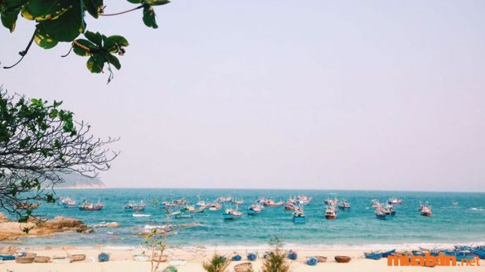 Cù Lao Mái Nhà, một hòn đảo vắng vẻ mang đậm vẻ đẹp hoang sơ, là nơi lý tưởng để du khách tìm về thiên nhiên và tận hưởng những trải nghiệm đầy thử thách, như cắm trại và thưởng thức những món ăn dã chiến trong không gian hoang dã.