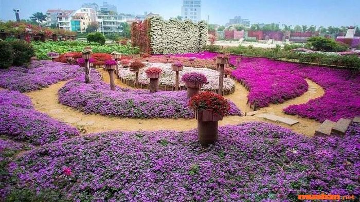 Địa điểm đi chơi ngày 1/6 dành cho các bé ở Hà Nội đầy thú vị và gần gũi với thiên nhiên.