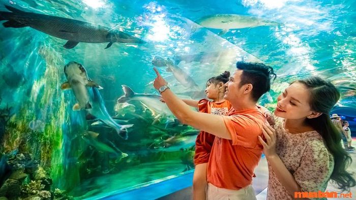 những địa điểm vui chơi dành cho trẻ em vào ngày Quốc tế Thiếu nhi 1/6 tại Hà Nội
