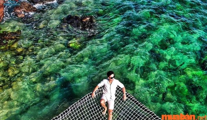 Có rất nhiều không gian rộng lớn để bạn và gia đình thoải mái chụp hình hay tổ chức picnic.
