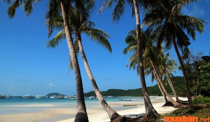 Bãi Cửa Cạn thu hút đông đảo du khách đến tham quan và tận hưởng những trải nghiệm đặc sắc.