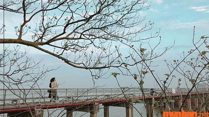 Cầu Dầu