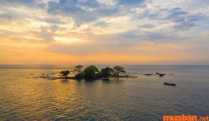 Nếu bạn đang tìm kiếm một nơi để hòa mình vào thiên nhiên, hòn Đồi Mồi chính là sự lựa chọn hoàn hảo.