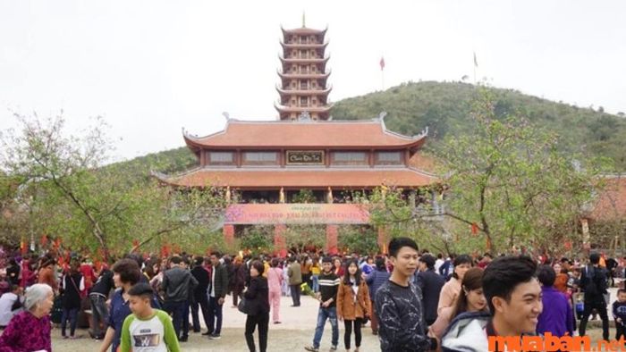 Lễ hội Chùa Đại Tuệ – Lễ hội hoa anh đào đặc sắc