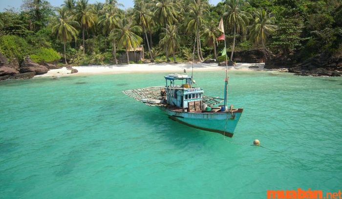 Cảnh vật nơi đây vô cùng yên bình và dễ chịu.