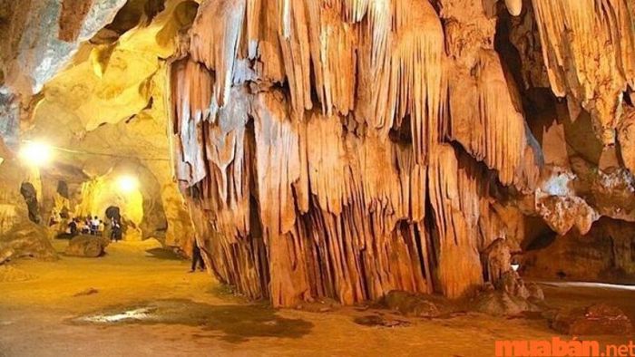 Hang Thẩm Ồm – Kỳ quan thiên nhiên độc đáo tại Nghệ An