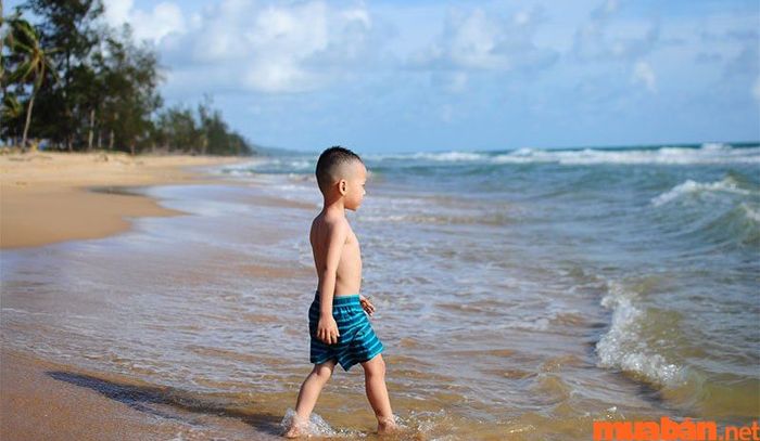 Hãy tránh để bụng quá đói hoặc quá no khi chuẩn bị xuống biển, để bạn có thể thoải mái tận hưởng những giây phút thư giãn dưới nước.