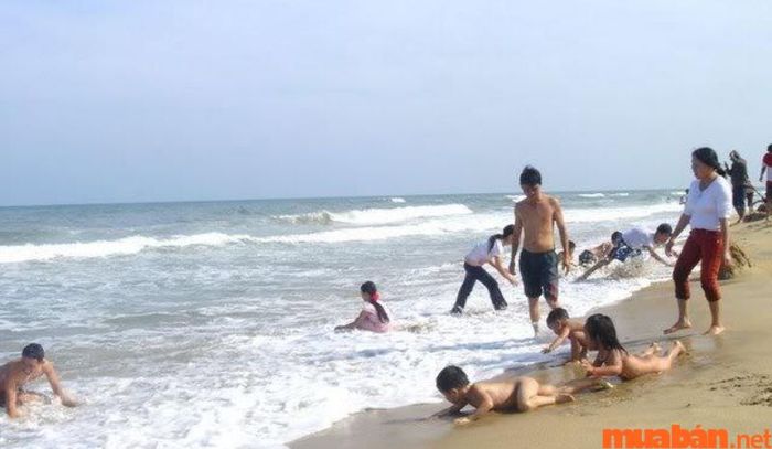Tránh bơi quá xa khỏi bờ để đảm bảo an toàn cho bản thân.