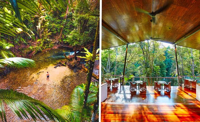 Silky Oaks Lodge is the ideal base for discovering Australia’s Daintree Rainforest.