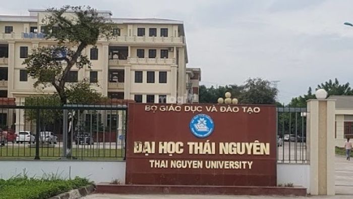Các trường Đại học, Cao đẳng xung quanh Ngã Tư Sông Công