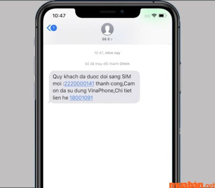 Hướng dẫn cài đặt và sử dụng eSIM trên điện thoại