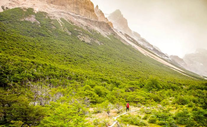 Hike---Natural-Reserve-Los-Huemules.jpg