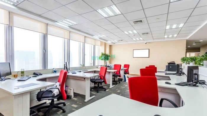 Tìm hiểu và đánh giá văn phòng định thuê