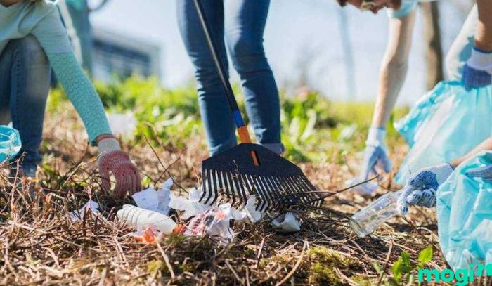 Ô nhiễm đất là gì? Ô nhiễm xảy ra tại một số khu vực nhất định.
