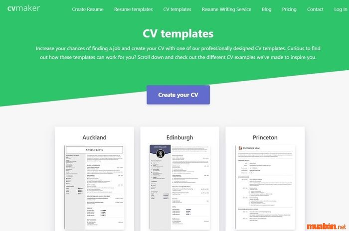 Top các trang web tạo mẫu CV xin việc online đẹp, thu hút nhà tuyển dụng