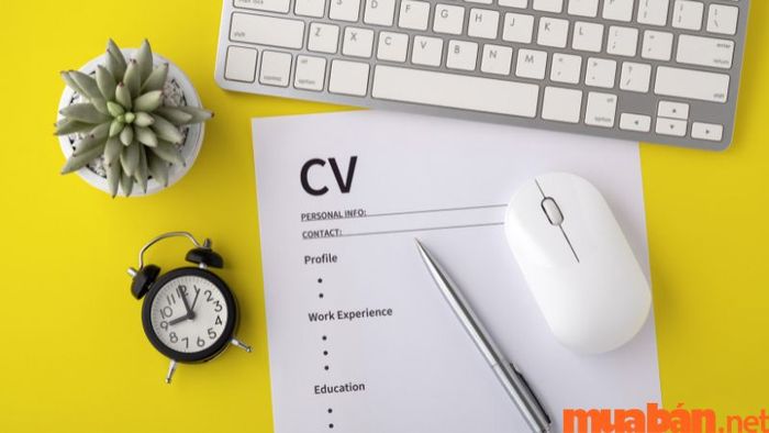 Mẹo viết đơn xin việc viết tay để ứng tuyển thành công