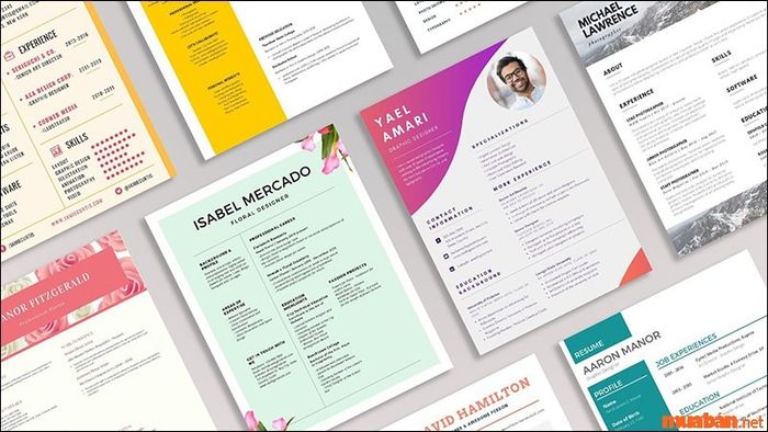 Mẫu CV xin việc online