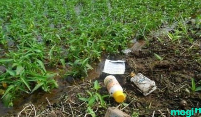 Ô nhiễm đất là gì - Ô nhiễm từ hoạt động nông nghiệp