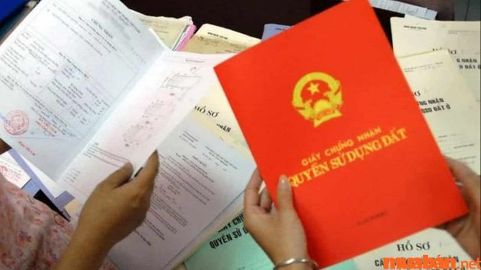 Nên mua nhà có sổ đỏ hay sổ hồng?