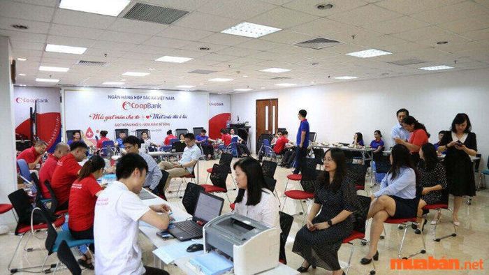 Lãi suất vay ngân hàng Coopbank hỗ trợ phát triển kinh tế gia đình nông nghiệp và nông thôn