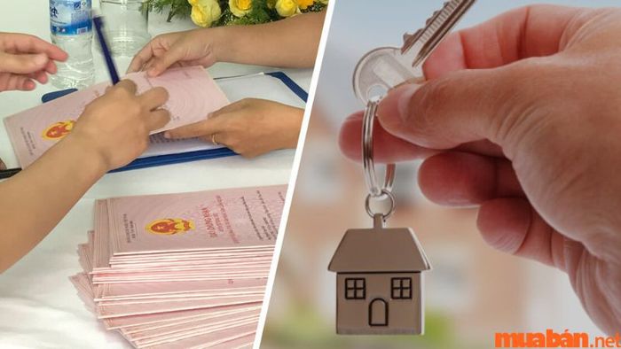 Nên chọn mua nhà có sổ đỏ hay sổ hồng?