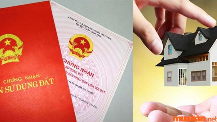 Lựa chọn mua nhà có sổ đỏ hay sổ hồng?