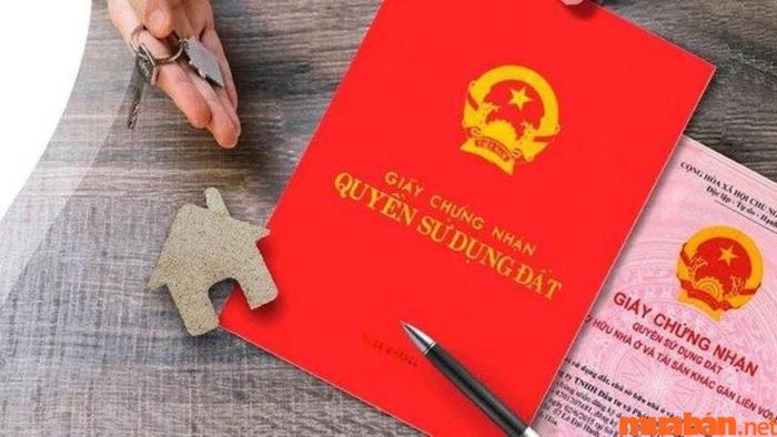 Nên mua nhà có sổ đỏ hay sổ hồng?