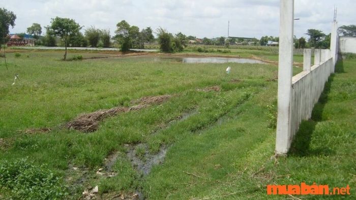 Hướng dẫn tra cứu thông tin thửa đất chi tiết
