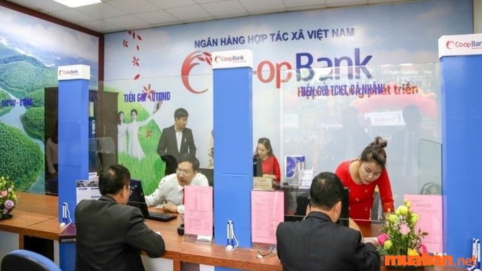 Điều kiện vay vốn tại ngân hàng Coopbank
