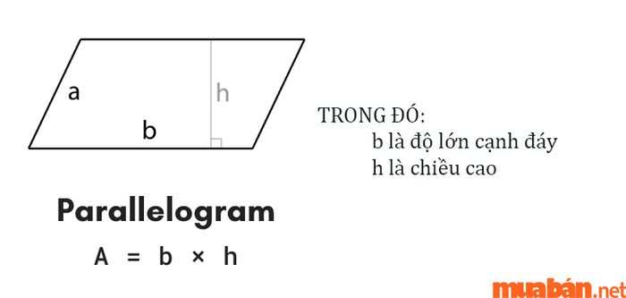 Hướng dẫn tính diện tích đất hình bình hành