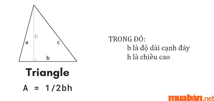 Cách tính diện tích cho mảnh đất hình tam giác