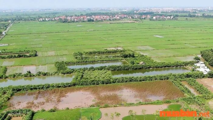 Quyền chung của chủ sở hữu thửa đất