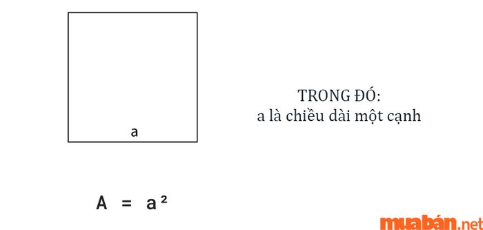 Cách tính diện tích mảnh đất hình vuông là gì?