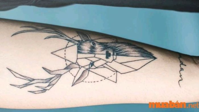 Hươu là một trong những biểu tượng mang đậm dấu ấn văn hóa cổ xưa