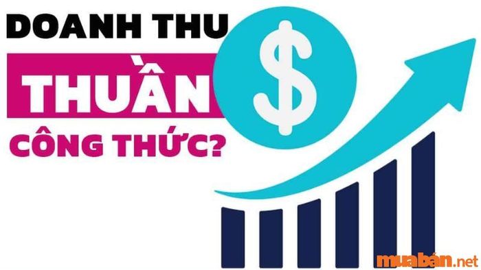 Doanh thu được tính như thế nào? Phương pháp tính doanh thu thuần