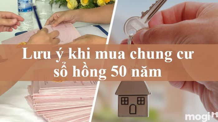 Các yếu tố cần lưu ý khi quyết định mua chung cư có sổ hồng 50 năm, đặc biệt là về quyền lợi và nghĩa vụ của người sở hữu trong thời gian sử dụng đất.