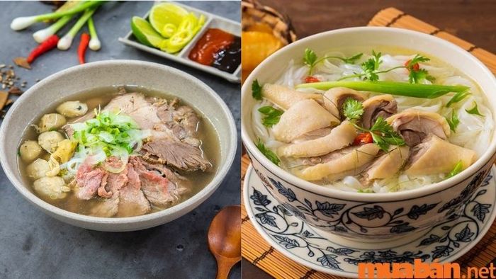 Phở bò, phở gà – hai món đặc sản nổi tiếng của Hà Nội được lòng du khách và người dân địa phương.