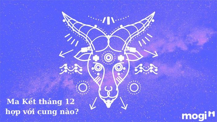Tháng 12 cung gì
