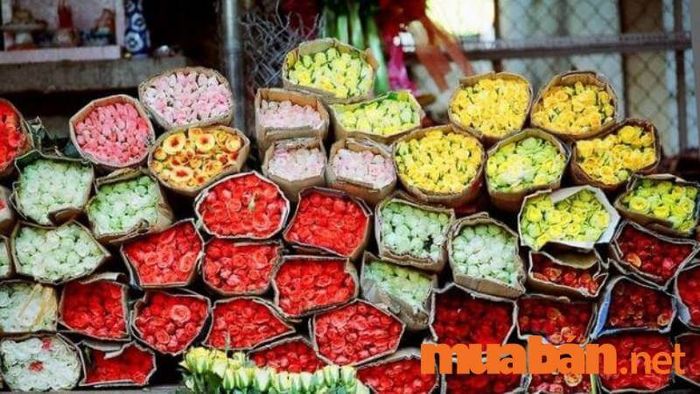 Chụp ảnh Tết cho bé tại chợ hoa Hồ Thị Kỷ sẽ mang đến những khoảnh khắc tươi vui và đầy sắc xuân.