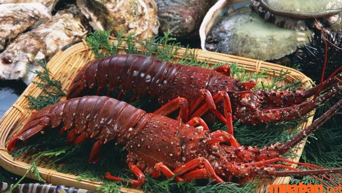 Đặc sản Côn Đảo